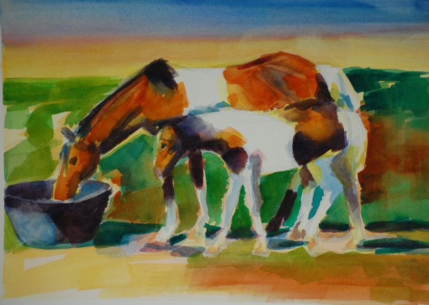 Chincoteague Ponies