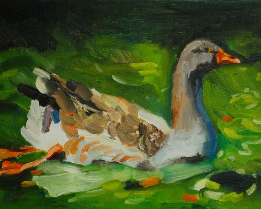 Wild Goose (SOLD)