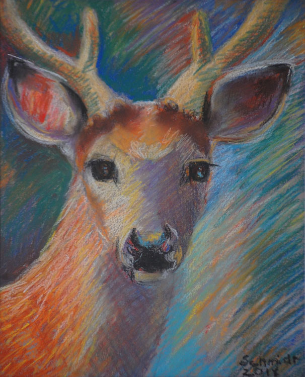 Deer