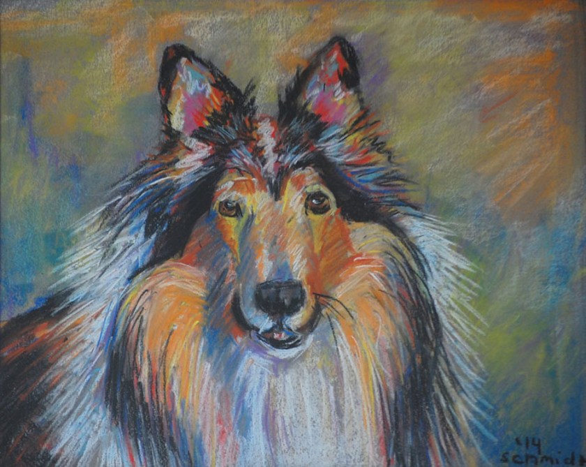 Collie