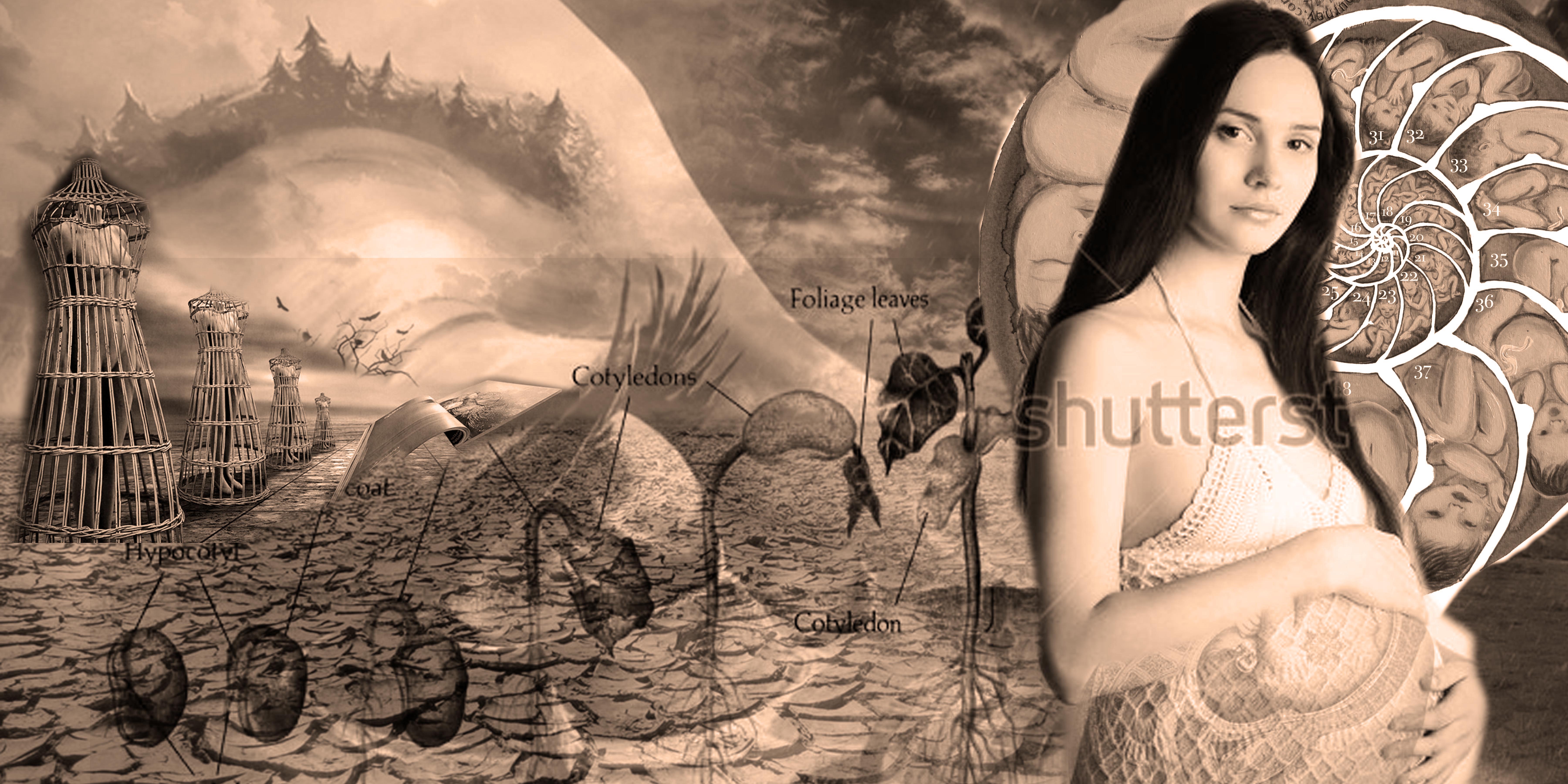 photo collage, pregnancy, desert, eye, dress forms, seeds, woman, process, artist's block.