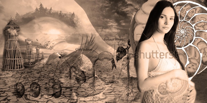 photo collage, pregnancy, desert, eye, dress forms, seeds, woman, process, artist's block.