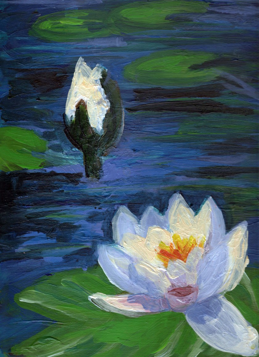 White Waterlillies.jpeg