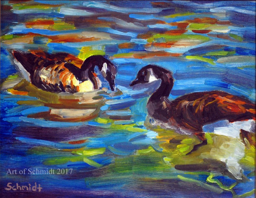 Canada Geese, Pair, Lake, Swimming