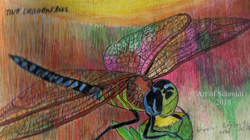Sketchbook, Emperor Dragonfly, edited 2