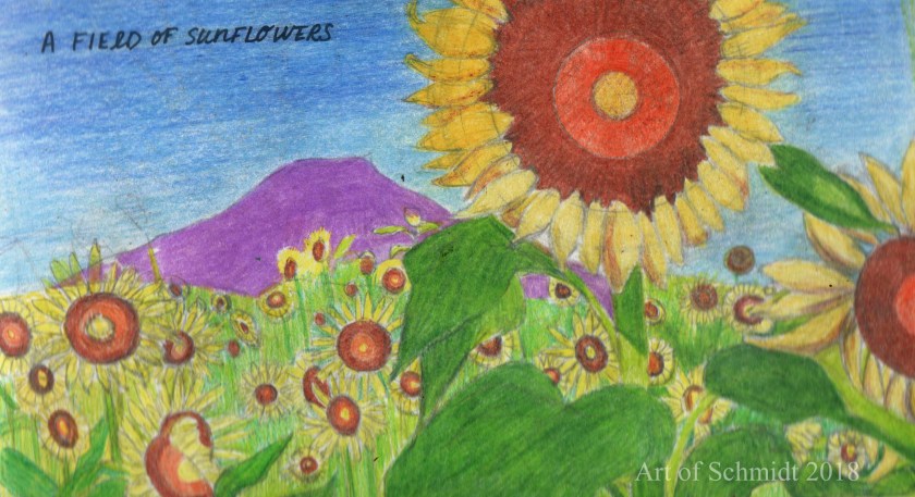 Sketchbook, sunflowers,edited 2