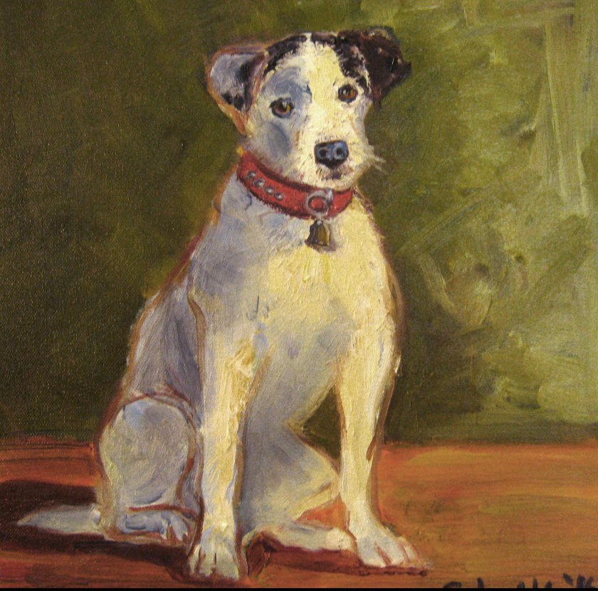 Jack Russell Terrier dog art