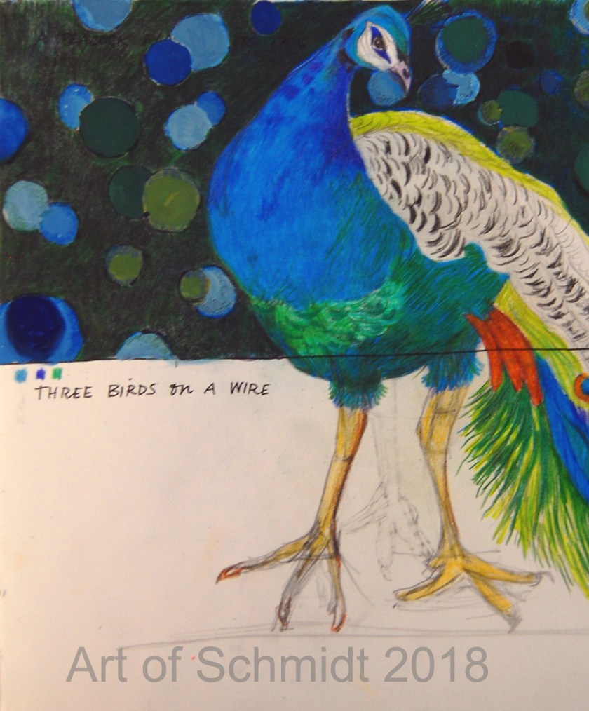 peacock portrait, flat