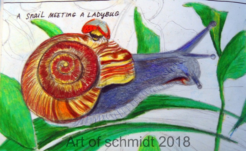 Snail and Ladybug, flat