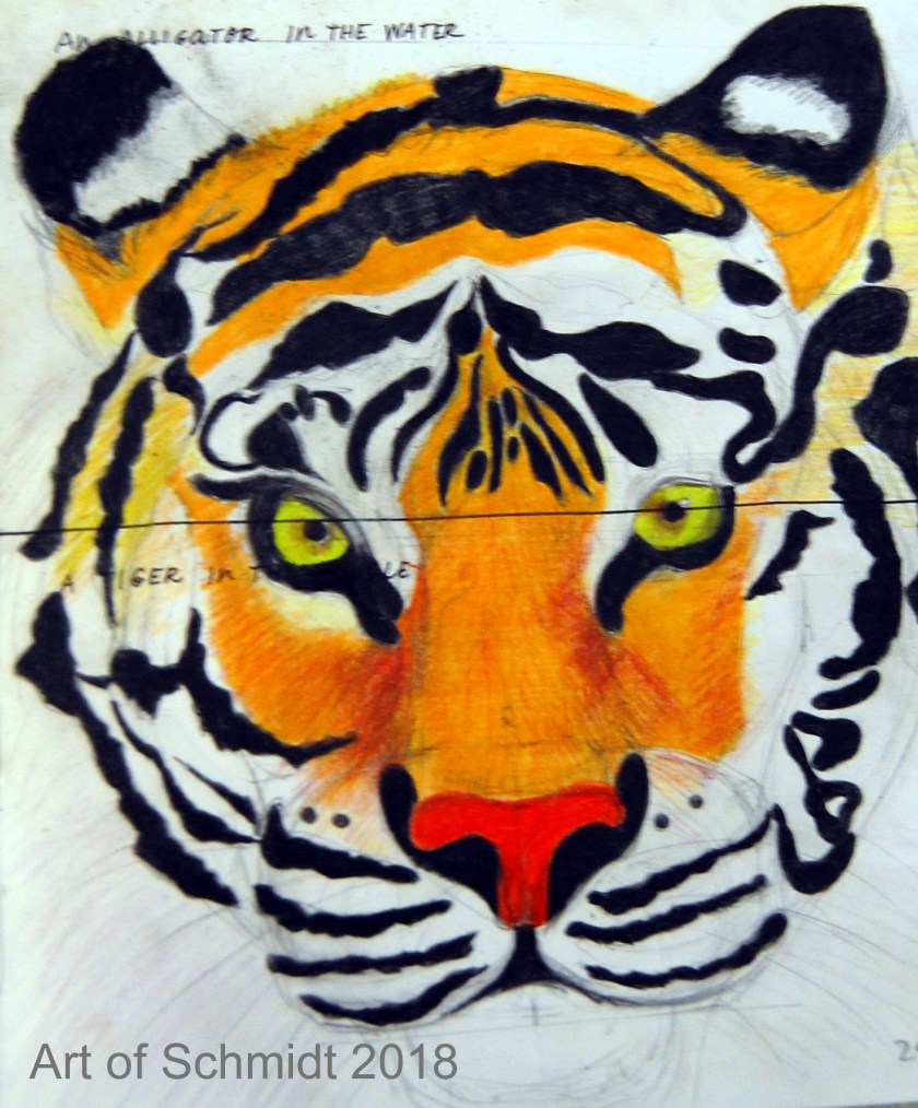 Tiger portrait, flat