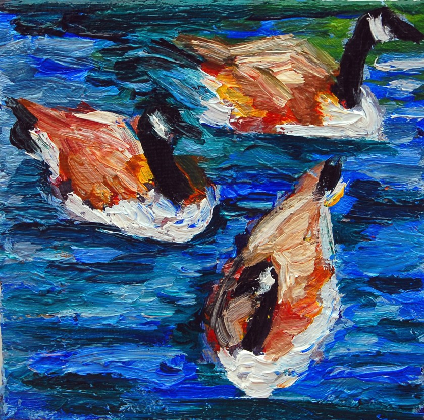 Canada Goose trio,flat