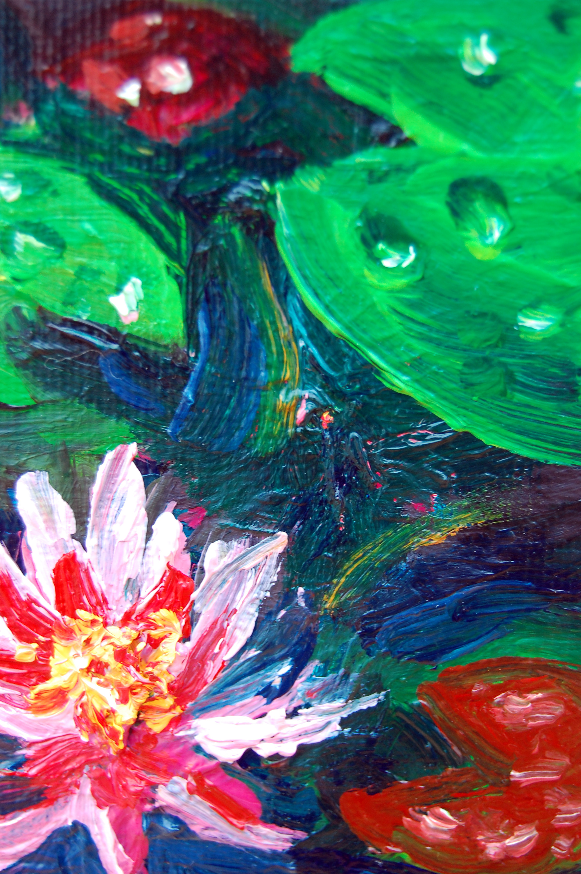 close up of pink water lilliy, flat