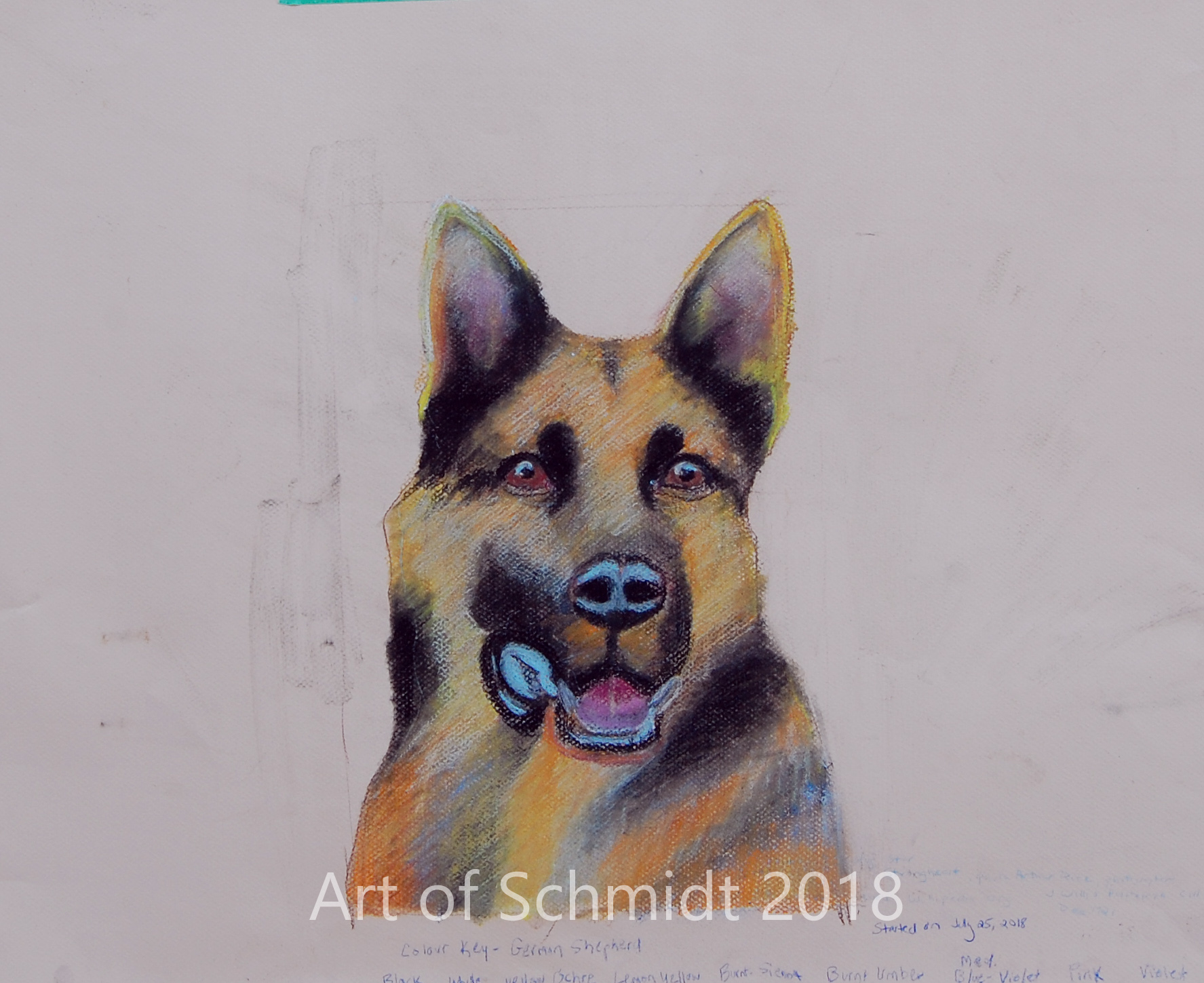 German Shepherd, pastel, flat, final