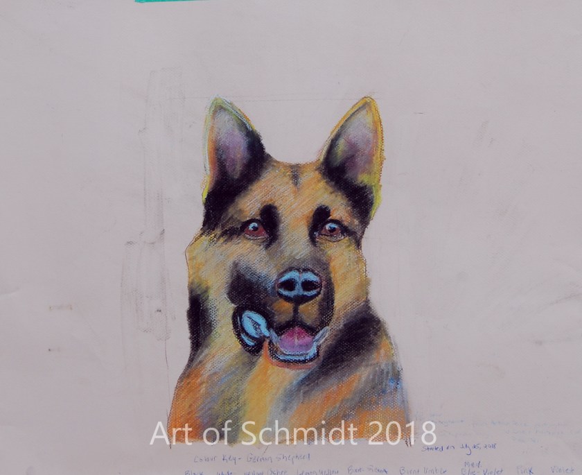 German Shepherd, pastel, flat, final