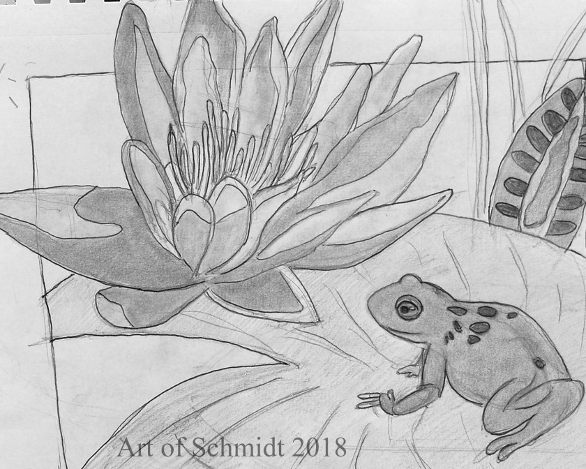 water lily three value sketch_edited-1, flat
